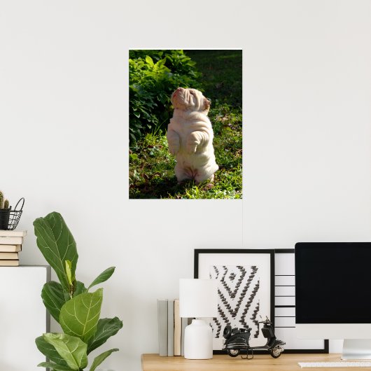 Chinesisches Shar-pei-Puppy-Poster Poster (Heimbüro)