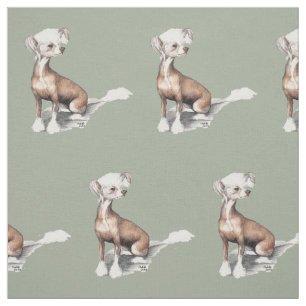Chinesisches sitzendes Hundekunst-Gewebe mit Haube Stoff