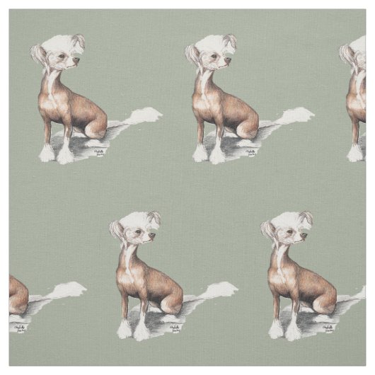Chinesisches sitzendes Hundekunst-Gewebe mit Haube Stoff (Muster)