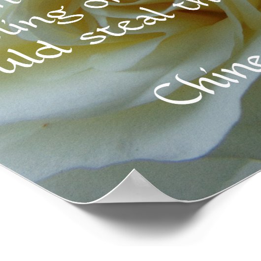 Chinesisches Sprichwort-Rose-Poster Poster (Ecke)