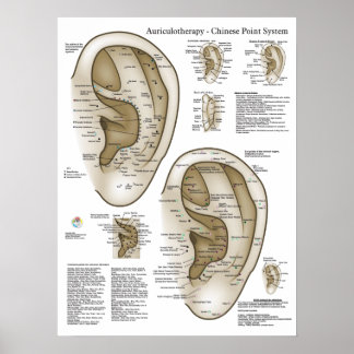 Chinesisches System der Aurikulären Ohrakupunktur Poster