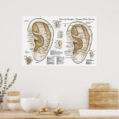 Chinesisches System der Aurikulären Ohrakupunktur Poster (Küche)