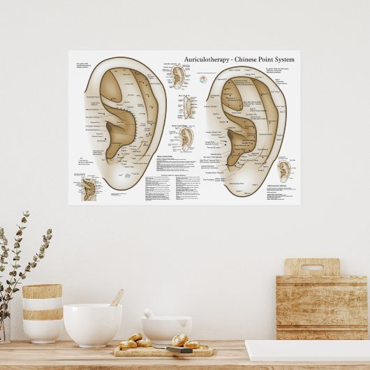 Chinesisches System der Aurikulären Ohrakupunktur Poster (Küche)