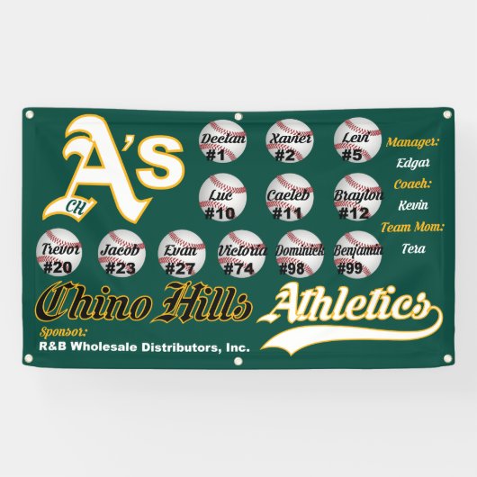 Chino Hills A Banner (Horizontal)