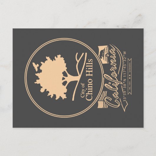 CHINO HILLS SAN BERNARDINO CALIFORNIA POSTKARTE (Vorderseite)