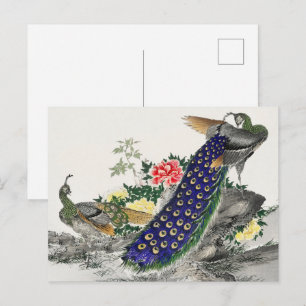 Chinoiserie Blau Pfau Rosa Päonie Botanische Kunst Postkarte