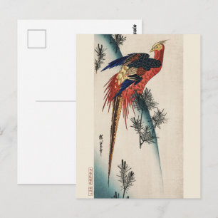 Chinoiserie Bunter Fasan Vogel & Kiefern Kunst Postkarte