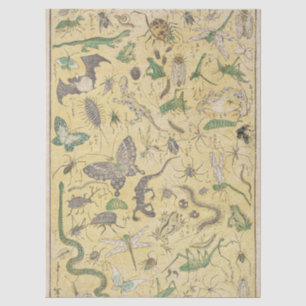 Chinoiserie Japanischer Käfer & Insekt Naturposter Seidenpapier