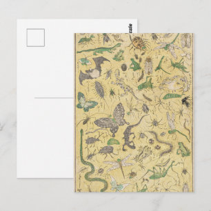 Chinoiserie Japanischer Käfer & Insekten Natur Pos Postkarte