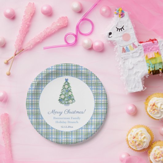 Chinoiserie Pale Blue Green Weihnachts Brunch Part Pappteller (Party)