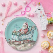 Chinoiserie Sleigh am Strand Pappteller (Party)