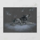 Chinook aux Fées Postkarte (Vorderseite)