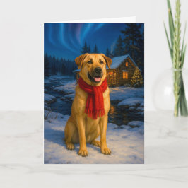 Chinook Holiday Card Feiertagskarte