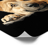 Chinook Hund Mutter Vater spähender Welpe Poster (Ecke)