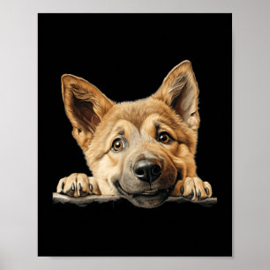 Chinook Hund Mutter Vater spähender Welpe Poster