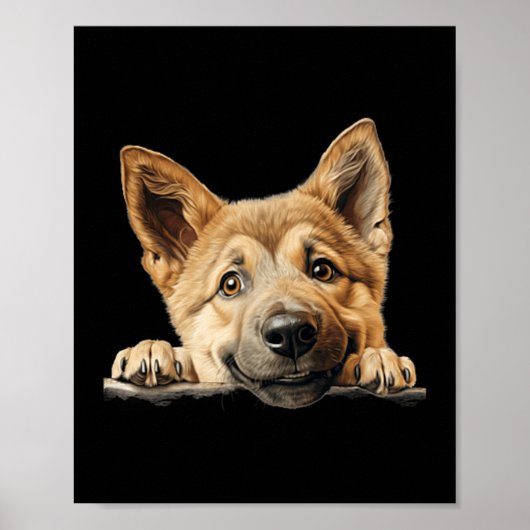 Chinook Hund Mutter Vater spähender Welpe Poster (Vorne)
