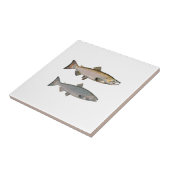 Chinook - Königslachs (Phase laichend) Fliese (Seite)