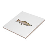 Chinook - Königslachs (Phase laichend) Fliese (Seite)