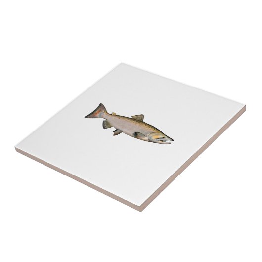 Chinook - Königslachs (Phase laichend) Fliese (Seite)