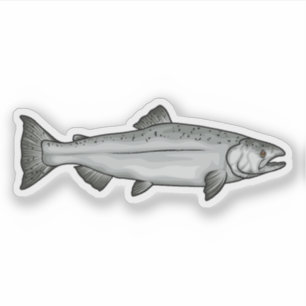 Chinook Lachs Ozean Phase Illustration Aufkleber