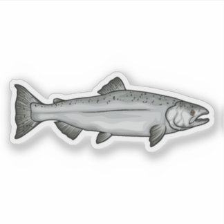 Chinook Lachs Ozean Phase Illustration Aufkleber