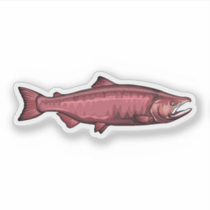 Chinook Lmon Spawning Phase Illustration Aufkleber