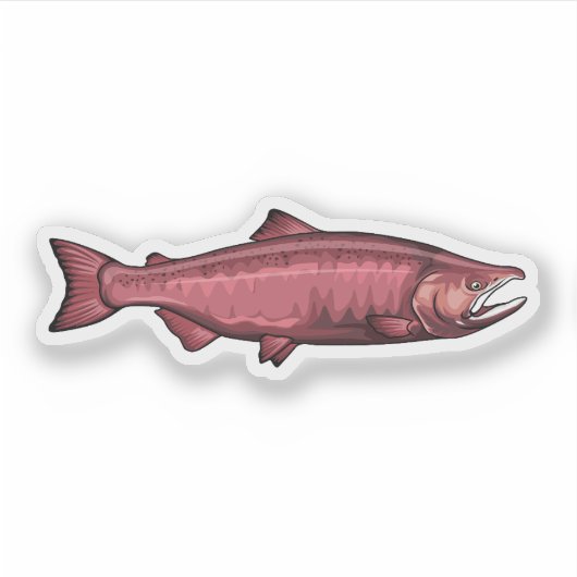 Chinook Lmon Spawning Phase Illustration Aufkleber (Vorderseite)