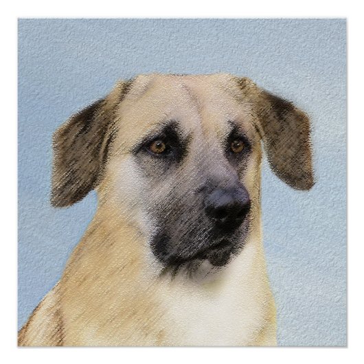 Chinook (Tropfohren) Gemälde - Original Hundkunst Poster (Vorderseite)