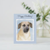 Chinook (Tropfohren) Gemälde - Original Hundkunst Postkarte (Stehend Vorderseite)