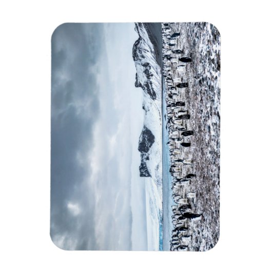 Chinstrap Penguin Colony Landscape Magnet (Vertikal)