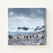 Chinstrap Penguin Colony Landscape Notizblock (Rückseite)