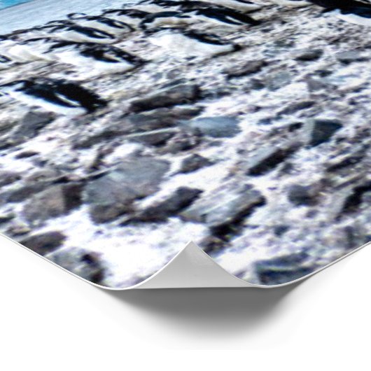 Chinstrap Penguin Colony Landscape Poster (Ecke)