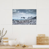 Chinstrap Penguin Colony Landscape Poster (Küche)