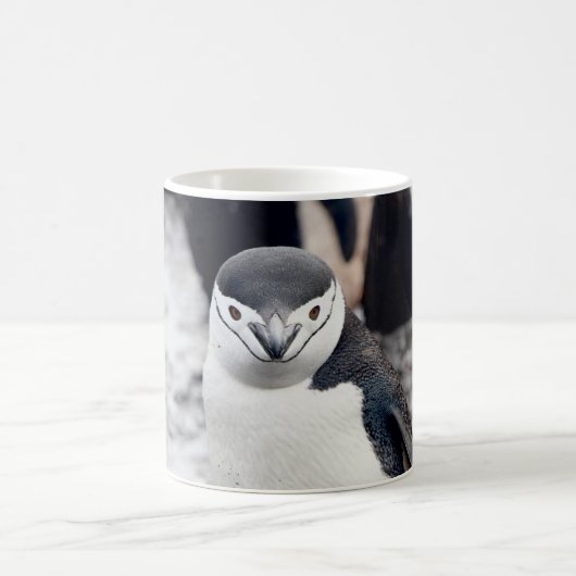 CHINSTRAP PENGUIN KAFFEETASSE (Mittel)