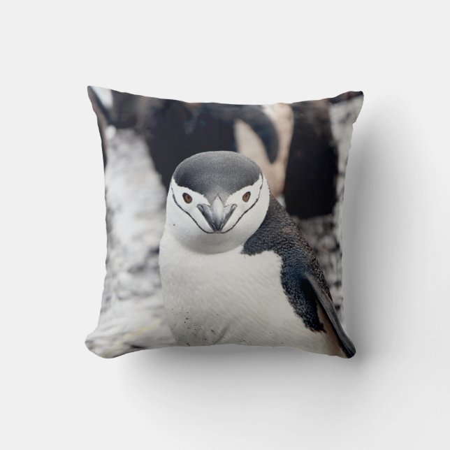 CHINSTRAP PENGUIN KISSEN (Vorderseite)