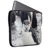 CHINSTRAP PENGUIN LAPTOPSCHUTZHÜLLE (Vorne Rechts)
