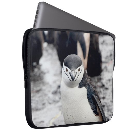 CHINSTRAP PENGUIN LAPTOPSCHUTZHÜLLE (Vorne Rechts)