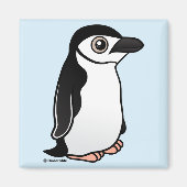 Chinstrap Penguin Magnet (Vorne)