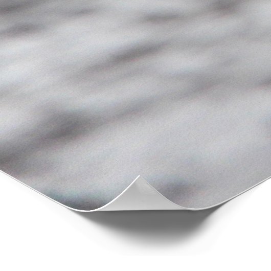 CHINSTRAP PENGUIN POSTER (Ecke)