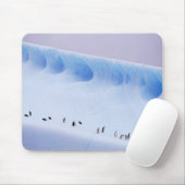 Chinstrap Penguin, South Orkney Islands Mousepad (Mit Mouse)
