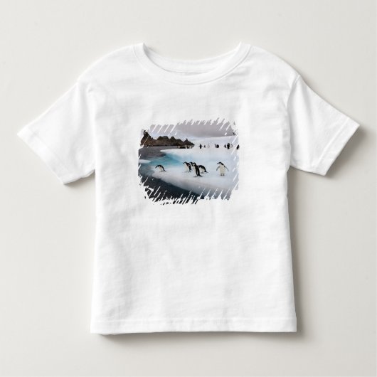 Chinstrap Penguins Kleinkind T-shirt (Vorderseite)