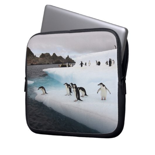 Chinstrap Penguins Laptopschutzhülle (Vorderseite Links)