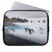 Chinstrap Penguins Laptopschutzhülle (Vorderseite)