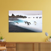 Chinstrap Penguins Leinwanddruck (Insitu (Wohnzimmer))