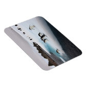 Chinstrap Penguins Magnet (Rechte Seite)