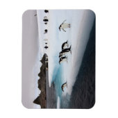 Chinstrap Penguins Magnet (Vertikal)