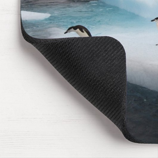 Chinstrap Penguins Mousepad (Ecke)