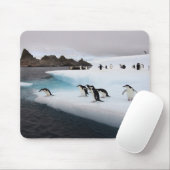 Chinstrap Penguins Mousepad (Mit Mouse)