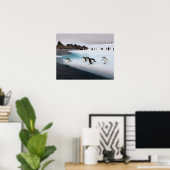 Chinstrap Penguins Poster (Heimbüro)