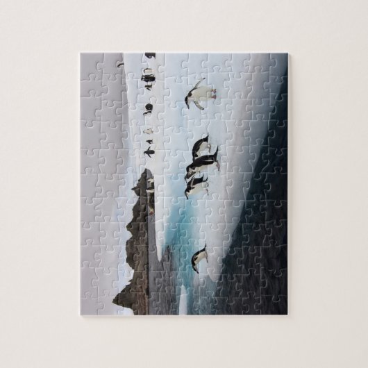 Chinstrap Penguins Puzzle (Vertikal)